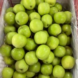 青龍蘋果🍏重量800～900g(+-10%)