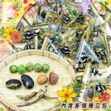 呆頑熊賀 四寶豆之菓105g《一組兩袋》