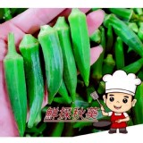 秋葵（300g+-5%）