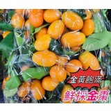 宜蘭鮮採金棗🔺一袋約1200g（+-5%）