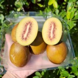 美國『寶石紅心奇異果』454g（+-5g） 特價：$145