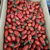 玉女小蕃茄一盒600g 特價：$150