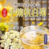 [台灣🇹🇼鎮德蔘藥行 苗栗手摘杭白菊/40g