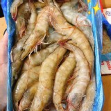 紅太陽活凍極品白蝦30/40🦐600g