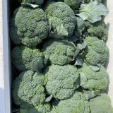 路竹特產青花菜2顆 特價：$55