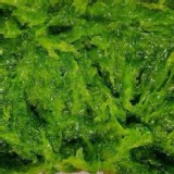 澎湖海菜小包裝75g