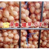 🧅恆春嗆辣小洋蔥 特價：$95
