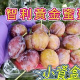 鮮甜大顆智利蜜棗李 600g含盒