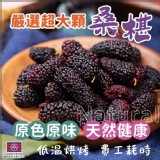 高雄大樹小農桑葚乾 120g