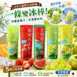 [日本🇯🇵 Gold-Pak 水果冰沙棒系列2入