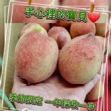 紅鈴水蜜桃 750～850g 特價：$215