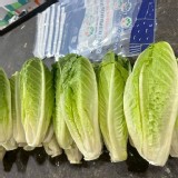 台灣鮮採羅曼心 特價：$89