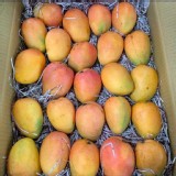 小花蜜雪芒果每袋2台斤 特價：$159