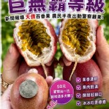 屏東紫鑽百香果 特價：$215