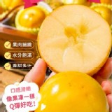 美人水果～黃金果💛