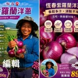 恆春紫羅蘭洋蔥 每袋 8～900g