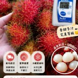 鮮採 紅 毛 丹