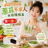 🏠蔥蒜不求人水培種植盒🏠 買一送一