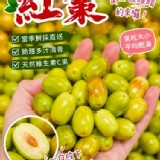 苗栗公館鮮採紅棗 每盒600g（±5%