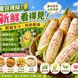 🌽鮮甜彩虹玉米 特價：$100