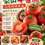 梨山牛蕃茄每袋600g（±5%）