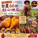 無毒台農66號甜心红地瓜