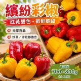 繽紛彩椒
