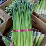 新鮮清脆韭菜花