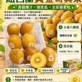 紐西蘭黃金奇異果～小資6顆裝