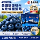 冷凍栽種藍莓1公斤/包