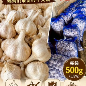 中大顆蒜頭 特價：$109