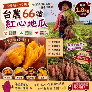 無毒台農66號甜心红地瓜 特價：$79