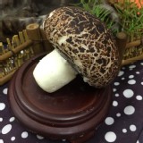 爆漿菇菇流沙包(芝麻） 特價：$120