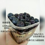 藍莓寶盒