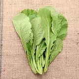 青松菜 特價：$26