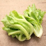 福山萵苣 特價：$26