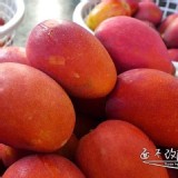 40年老欉枋山阿梅姨(廣伯)特A+愛文芒果 6斤含盒特A+(7-10顆)