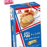 (新品上市~日本森永鹽味焦糖奶油夾心餅 (92.8g)