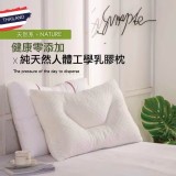 泰國100%天然乳膠枕一入.特價
