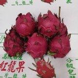 團友家自種的無毒(紅肉)火龍果.6斤一袋