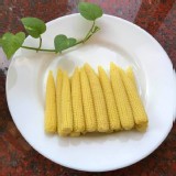 將軍小農.當天直送(玉米筍)三斤一袋.團友優惠價