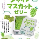 季節限定新品 (日本AS寶石果凍箱-麝香葡萄味)(1箱20顆) 原價$279.優