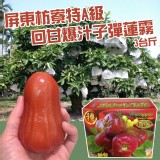 屏東枋寮特A級回甘爆汁子彈蓮霧3台斤.團購價