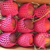 (40年老欉)嚴選特A+愛文芒果(大果)市售:5斤特A+(7-9顆) $990