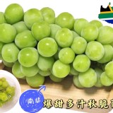 🍇南非爆甜多汁秋脆葡萄🍇商品規格:500g+-10%/盒市售250/盒 團購
