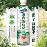 無糖烏龍茶推薦~雀巢蜜香漾烏龍-B 12瓶