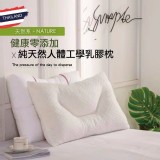 泰國100%天然乳膠枕一入.原價$1980.廠商特價下殺