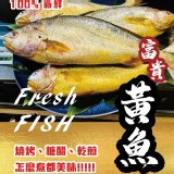鮮嫩富貴大黃魚買一送一特惠檔-400-500g±10%/2尾商品售價:200/