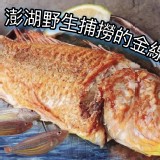 🐟澎湖野生撈捕金線魚🐟3隻.重量500公克