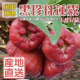 屏東林邊黑珍珠蓮霧3.5斤